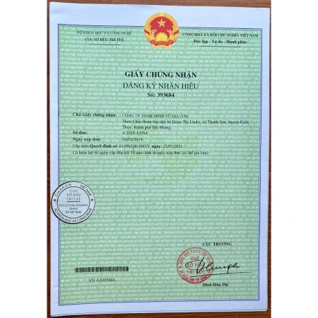 Cazoova Oxidizing Cream 1000ML hỗ trợ nhuộm tóc